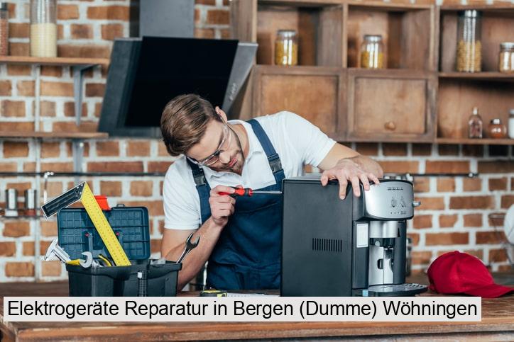 Elektrogeräte Reparatur in Bergen (Dumme) Wöhningen